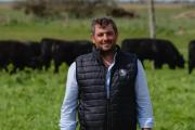 Cabaña El Cedro prepara su remate de reproductores Aberdeen Angus
