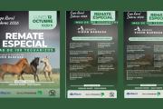 Remate de yeguarizos en Dolores: más de 100 animales anotados para la jornada del lunes
