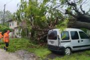 Lluvia y viento provocaron anegamientos, cortes de luz y caída de árboles en Mar del Plata